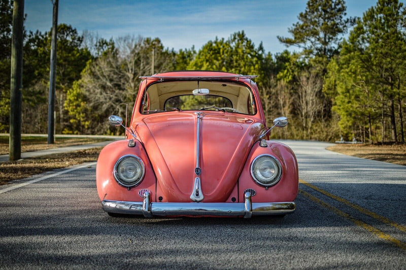 Windshield Safari, Beetle, 1958-64